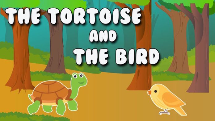 The Tortoise And The Bird