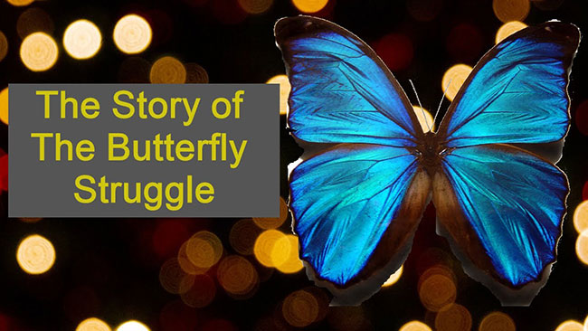 the-story-of-the-butterfly-struggle