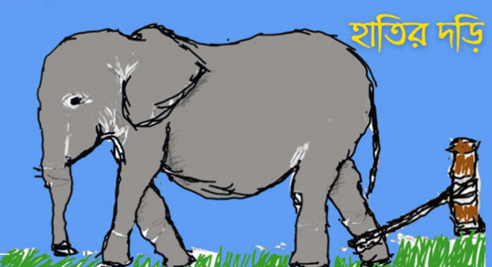 শিক্ষামূলক গল্প: হাতির দড়ি