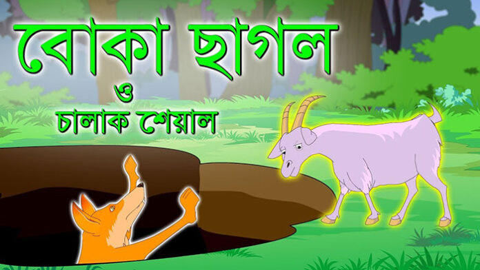 শিয়াল আর ছাগলের একটি শিক্ষণীয় গল্প