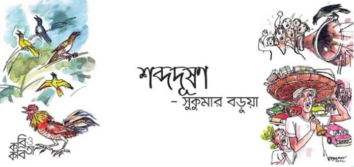 শব্দদূষণ - সুকুমার বড়ুয়া