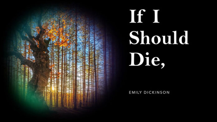 If I should die by Emily Dickinson