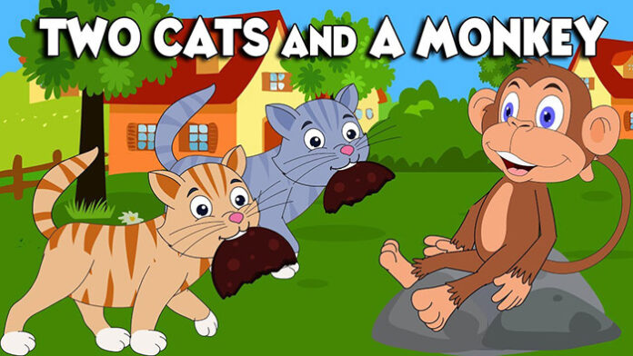Two Cats and A Monkey