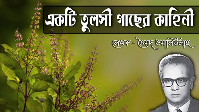 একটি তুলসী গাছের কাহিনী - সৈয়দ ওয়ালীউল্লাহ