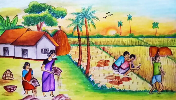 সাম্য - সুফিয়া কামাল